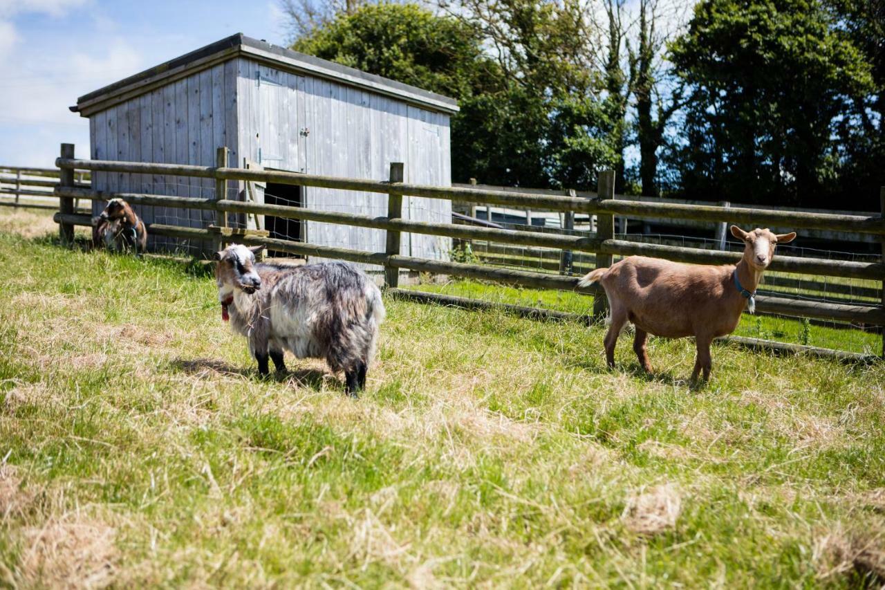 Sharlands Farm Holiday Cottages Bude Exterior photo